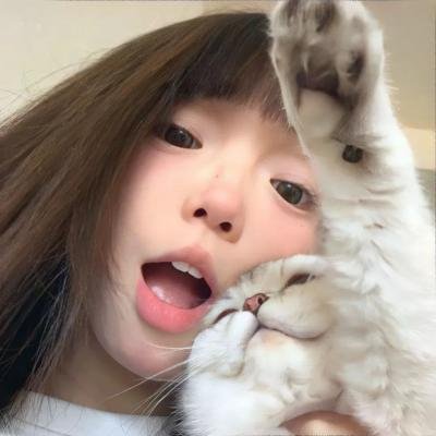 战国英豪